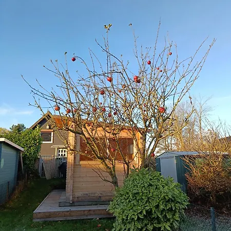 Beachhouse Mit Privater Sauna Und Kamin, 700m Zum